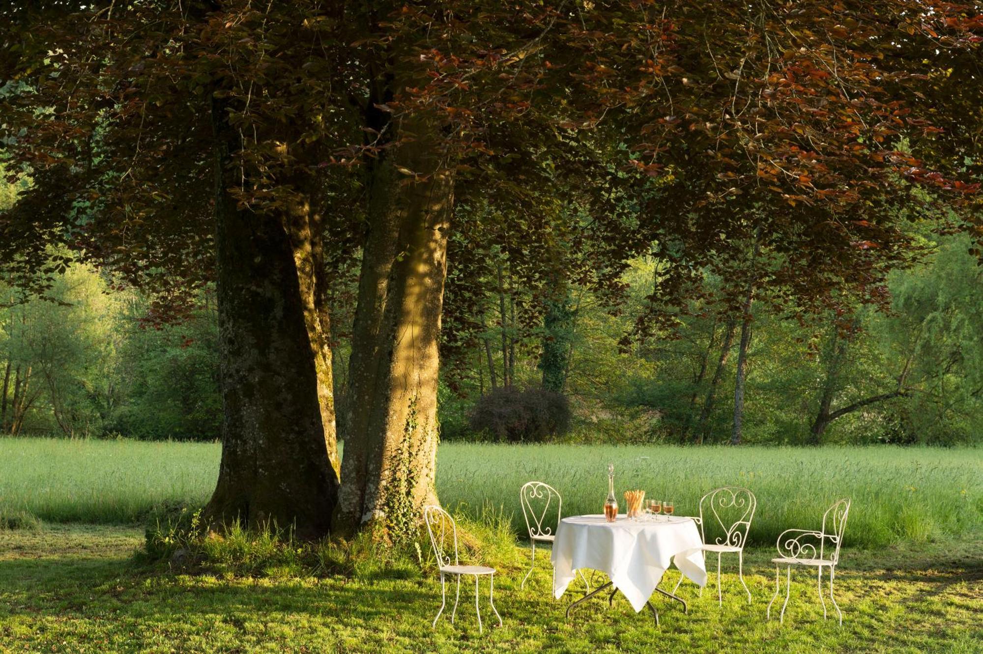 Bed and Breakfast Chateau De Martigny Colmey Exteriér fotografie